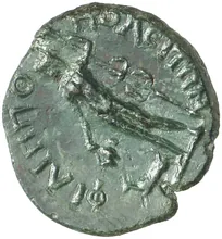 coin rev