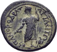 coin rev