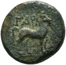 coin rev