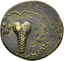 coin rev
