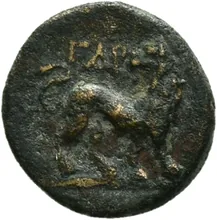 coin rev