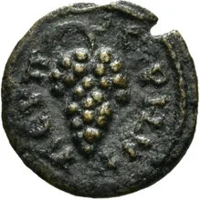 coin rev