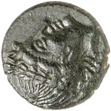coin obv