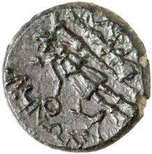 coin rev