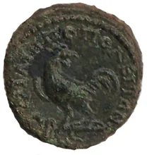 coin rev