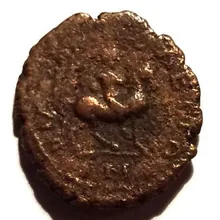 coin rev