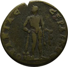 coin rev