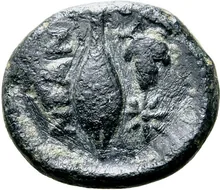 coin rev