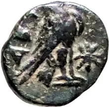 coin rev