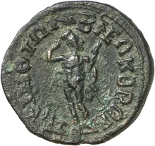 coin rev
