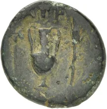 coin rev