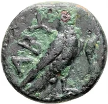 coin rev