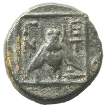 coin rev