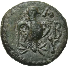 coin rev