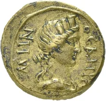 coin rev