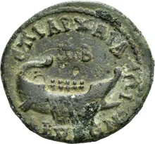 coin rev
