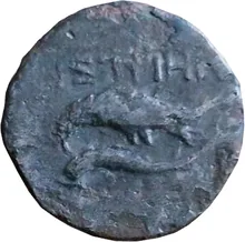 coin rev