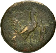 coin rev