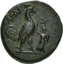 coin rev