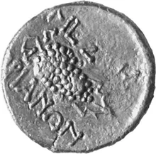 coin rev