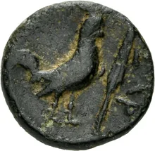 coin rev