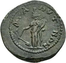 coin rev
