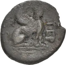 coin rev