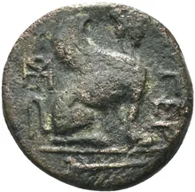 coin rev