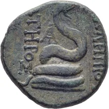 coin rev