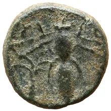 coin rev