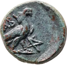 coin rev