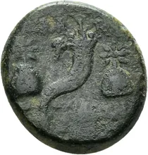 coin rev