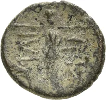 coin rev