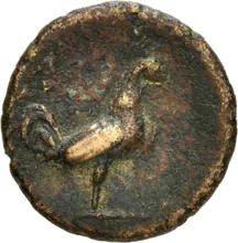 coin rev