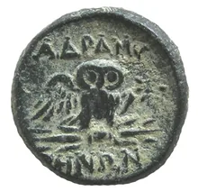 coin rev