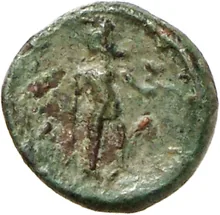 coin rev