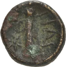 coin rev