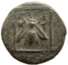 coin rev