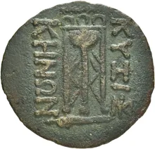 coin rev