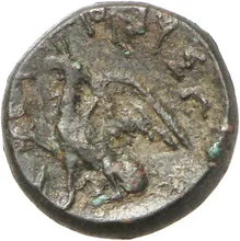 coin rev