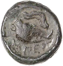 coin rev