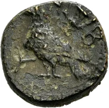 coin rev