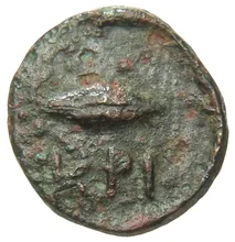 coin rev