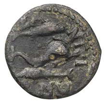 coin rev