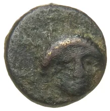 coin obv