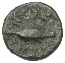 coin rev
