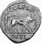 coin rev
