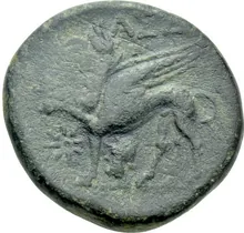 coin rev