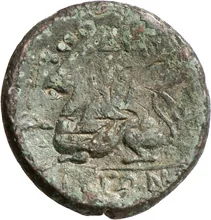 coin rev