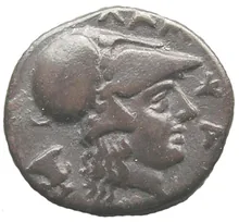 coin rev